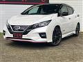 2019 Nissan Leaf