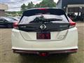 2019 Nissan Leaf