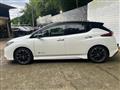 2019 Nissan Leaf