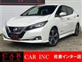 2019 Nissan Leaf