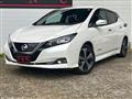 2019 Nissan Leaf