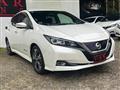 2019 Nissan Leaf