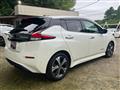 2019 Nissan Leaf