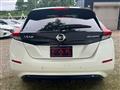 2019 Nissan Leaf