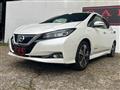 2019 Nissan Leaf