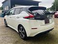 2019 Nissan Leaf