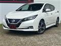 2018 Nissan Leaf