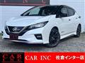 2019 Nissan Leaf