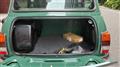 1996 Rover Mini