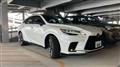 2025 Lexus RX