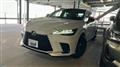 2025 Lexus RX