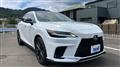 2025 Lexus RX