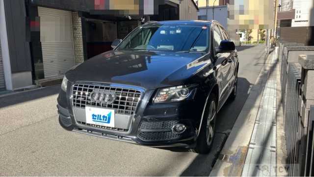 2010 Audi Q5