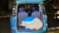 2006 Toyota Sienta