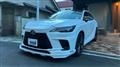 2025 Lexus RX