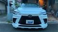 2025 Lexus RX
