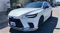 2025 Lexus RX