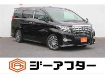 2016 Toyota Alphard G