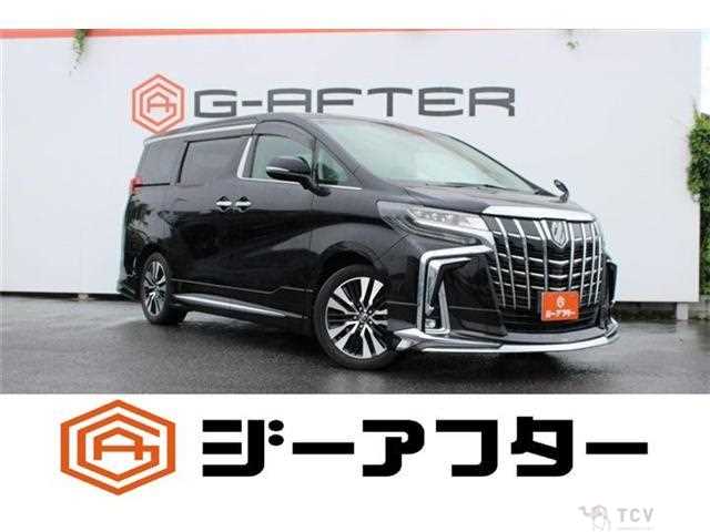 2018 Toyota Alphard G