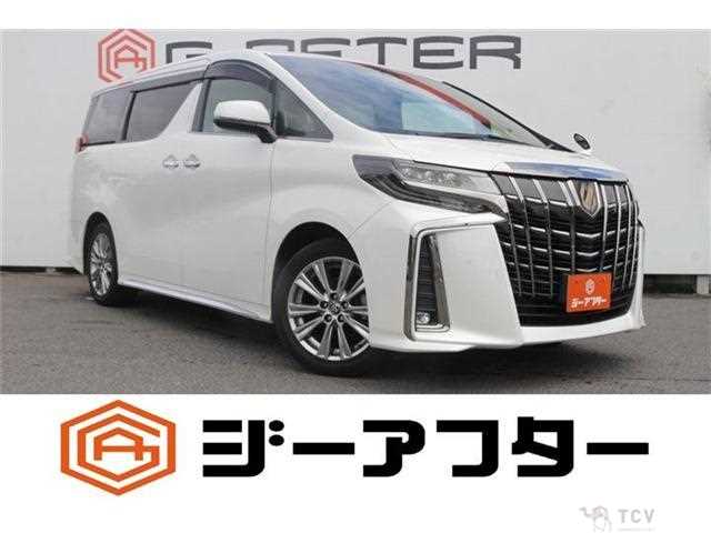 2020 Toyota Alphard G