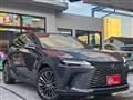 2025 Lexus RX