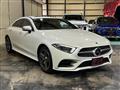 2019 Mercedes-Benz Cls-Class