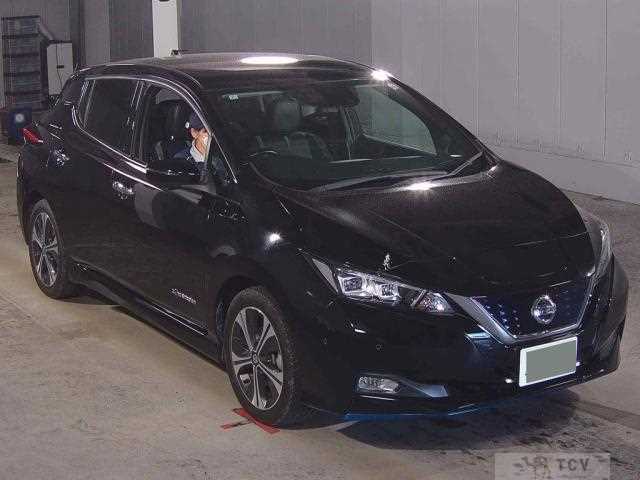 2020 Nissan Leaf