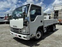 2019 Isuzu Elf Truck