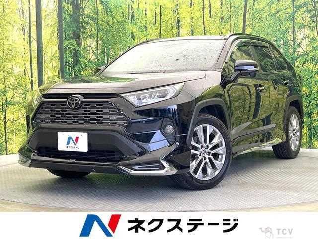 2019 Toyota RAV4