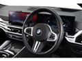 2023 BMW X6