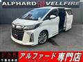 2021 Toyota Alphard G