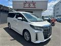 2019 Toyota Alphard G