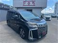 2019 Toyota Alphard G