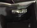 2009 Toyota Mark X Zio