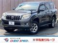 2010 Toyota Land Cruiser Prado