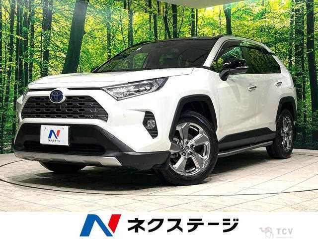 2020 Toyota RAV4