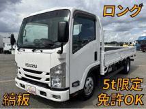 2019 Isuzu Elf Truck