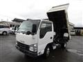 2019 Isuzu Elf Truck