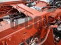 2025 Isuzu Elf Truck