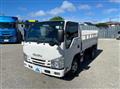 2019 Isuzu Elf Truck