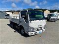 2019 Isuzu Elf Truck