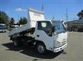 2017 Isuzu Elf Truck