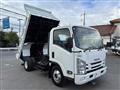 2017 Isuzu Elf Truck