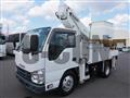 2020 Isuzu Elf Truck
