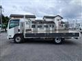 2019 Isuzu Elf Truck