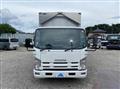 2011 Isuzu Elf Truck
