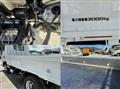 2019 Isuzu Elf Truck