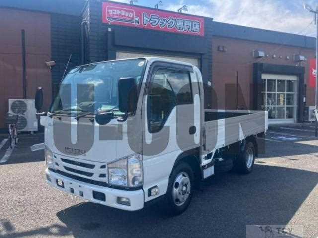 2020 Isuzu Elf Truck