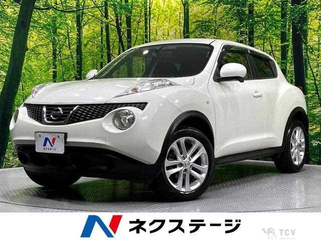 2012 Nissan Juke