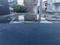 2013 Toyota Alphard G